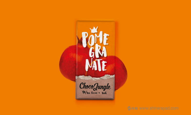 水果特寫插畫風格 Choco Jungle 巧克力包裝設計-上海包裝設計公司