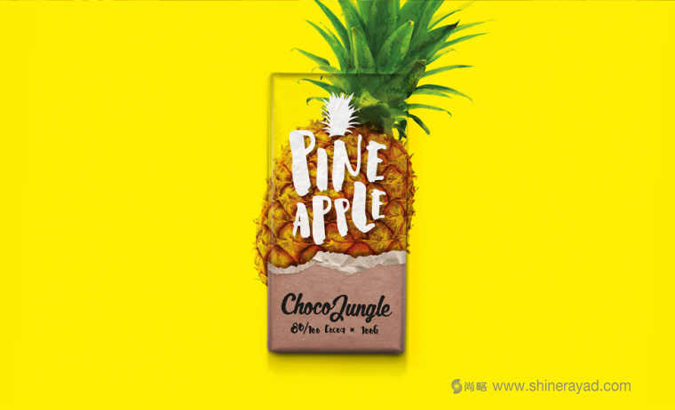 水果特寫插畫風格 Choco Jungle 巧克力包裝設計-上海包裝設計公司