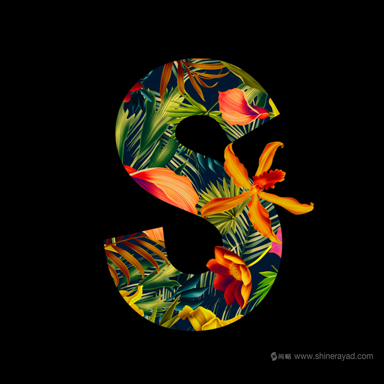 大面積水果插畫加留白版式的Splendid 果汁飲料包裝設計作品欣賞