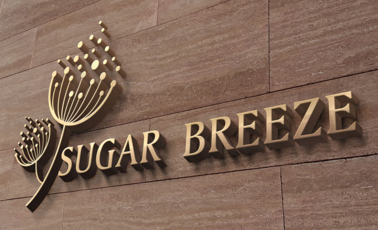 棠楓餐飲品牌設計-LOGO設計-上海品牌設計公司1