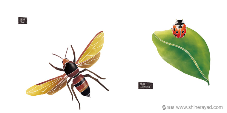 Rosehill 面膜包裝插畫設(shè)計-淡涼蘭花 蜜蜂-上海化妝品包裝設(shè)計公司7