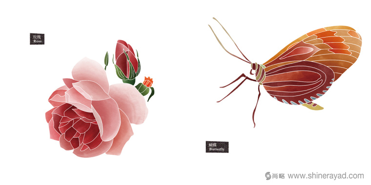 Rosehill 面膜包裝插畫設(shè)計-涼爽玫瑰蝴蝶插畫-上海化妝品包裝設(shè)計公司8