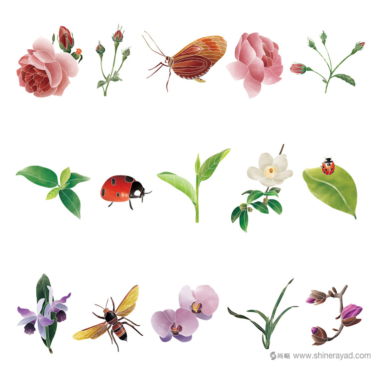 Rosehill 面膜包裝插畫設(shè)計清新茶花 - 瓢蟲-上海化妝品包裝設(shè)計公司9