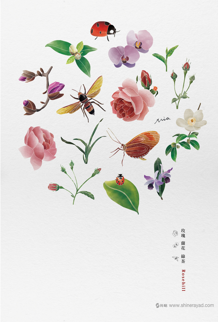 Rosehill 面膜包裝插畫設(shè)計-上海化妝品包裝設(shè)計公司4