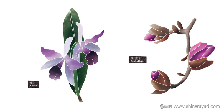 Rosehill 面膜包裝插畫設(shè)計-上海化妝品包裝設(shè)計公司6