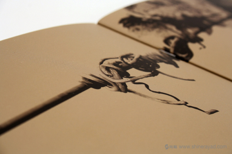 非常高檔藝術的暗金色Covi?as葡萄酒酒莊宣傳畫冊設計-上海宣傳畫冊設計公司3