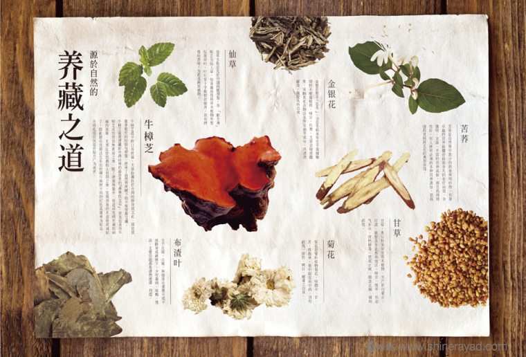 瀟樂壽苷樟芝涼茶宣傳單頁-上海品牌策劃公司3