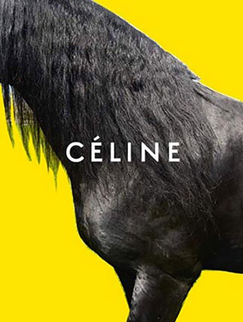 席琳冬季2016廣告--上海品牌策劃公司-上海營銷策劃公司