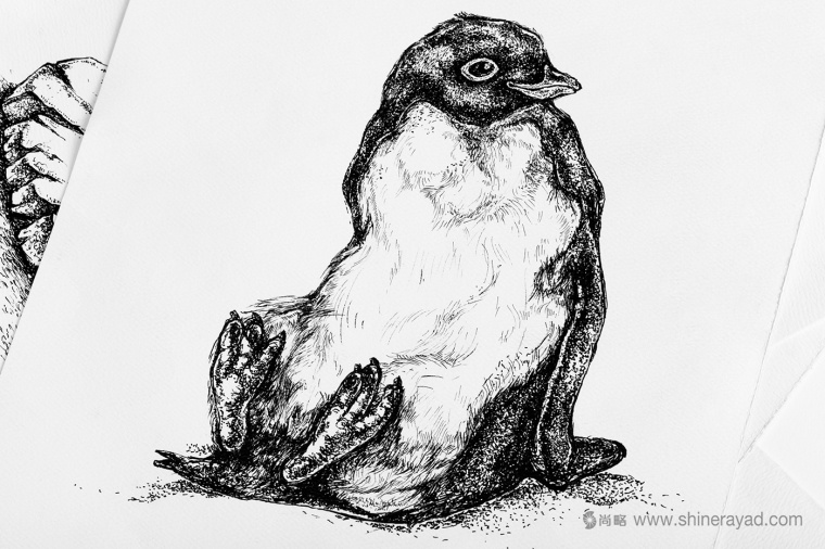 Adelie & the Stone 購(gòu)物中心節(jié)日品牌形象設(shè)計(jì)與插畫(huà)禮品包裝設(shè)計(jì)