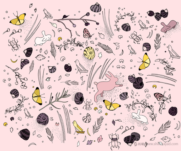 上海包裝設計公司-EXPRESSION 松露巧克力包裝設計包裝插畫設計2