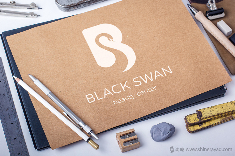 上海LOGO設計公司欣賞——黑天鵝美容中心美容店LOGO設計4