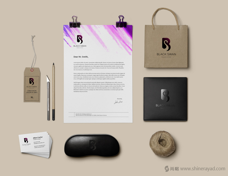 上海LOGO設計公司欣賞——黑天鵝美容中心美容店LOGO設計5