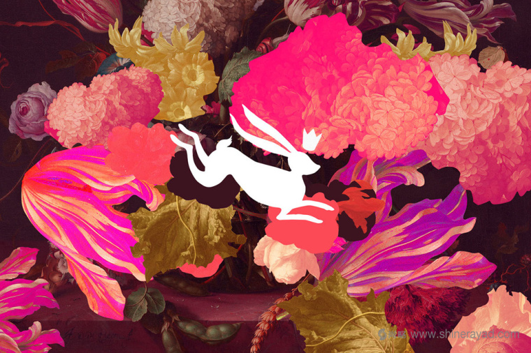 巴洛克美學(xué) DOLCE 面包糕點(diǎn)烘培店品牌VI視覺(jué)形象設(shè)計(jì)logo設(shè)計(jì)-上海烘培餐飲品牌設(shè)計(jì)公司2