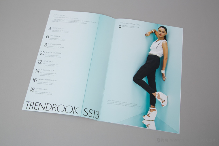 Novo 女鞋品牌夏季產品畫冊設計-上海畫冊設計公司設計欣賞2