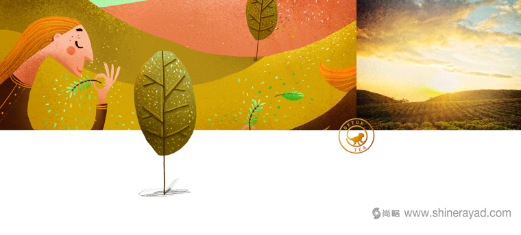 TITEA 伶猴品牌茶葉包裝設(shè)計插畫設(shè)計-上海包裝設(shè)計公司10