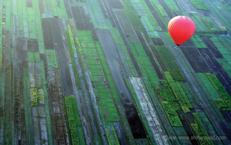 Worldpay 在線支付平面宣傳畫冊物料設計平面廣告設計-上海廣告設計公司2