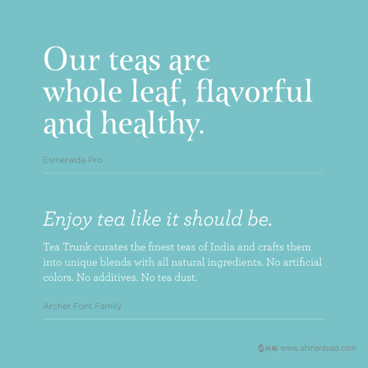 印度 Tea Trunk 茶葉小象卡通形象設計logo設計-上海品牌設計公司3