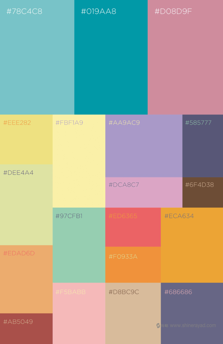 印度 Tea Trunk 茶葉品牌配色設計-上海品牌設計公司4