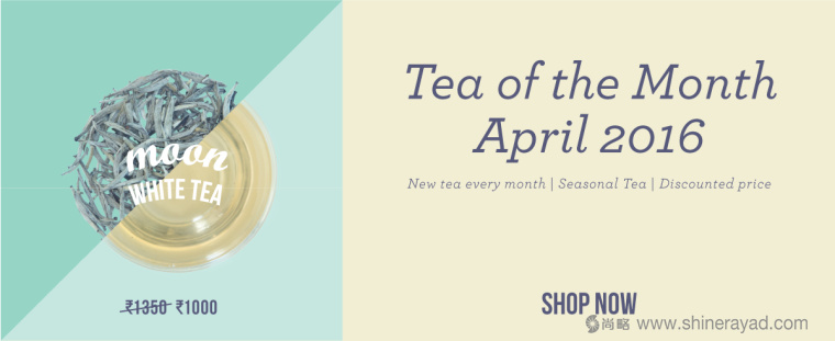 印度 Tea Trunk 茶葉品牌小象吉祥物包裝設計-上海包裝設計公司14