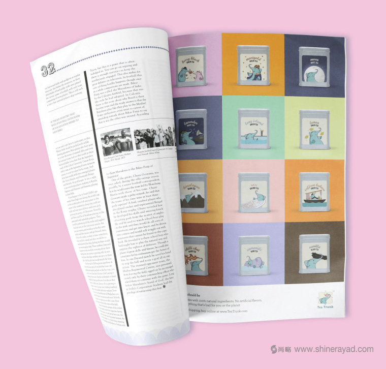 印度 Tea Trunk 茶葉品牌小象吉祥物包裝設計-上海包裝設計公司16