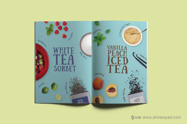 印度 Tea Trunk 茶葉品牌小象吉祥物畫冊設計-上海畫冊設計公司2