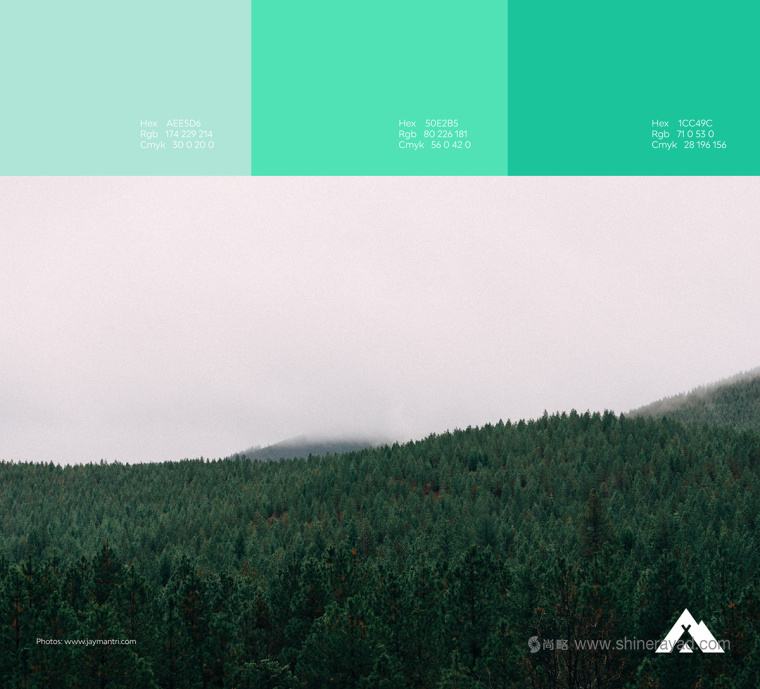 Green Peak 遠足和野營戶外裝備logo設計-上海logo設計公司4