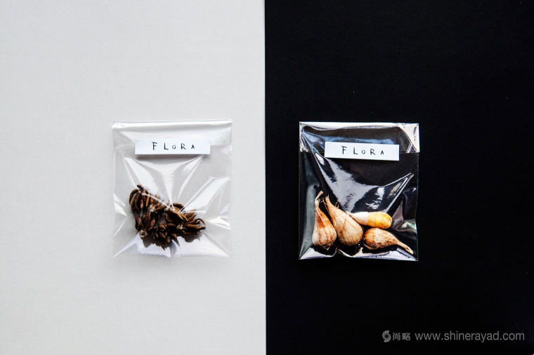 FLORA 鮮花球莖根莖內袋包裝設計-上海包裝設計公司設計收藏5