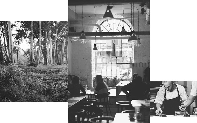 尼約德有機餐廳餐飲logo設(shè)計VI設(shè)計-菜單設(shè)計-上海VI設(shè)計公司