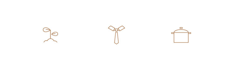 尊貴而優雅的生活教練Mireia Ferrer品牌VI形象設計