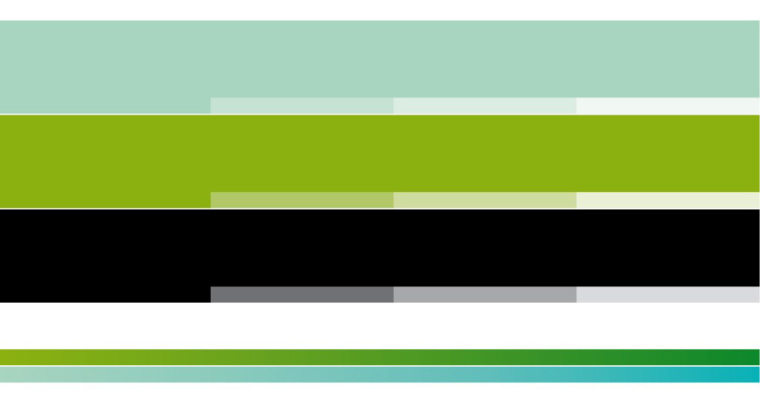 Braga國際性醫(yī)療保健醫(yī)院標(biāo)志設(shè)計(jì)-上海標(biāo)志設(shè)計(jì)公司