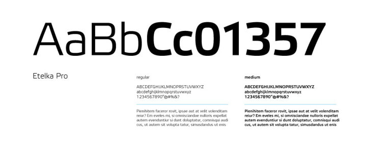Braga國際性醫(yī)療保健醫(yī)院標(biāo)志設(shè)計(jì)-上海標(biāo)志設(shè)計(jì)公司