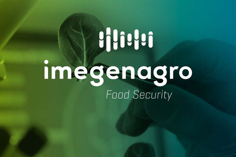 MEGEN人類遺傳學基因品牌標志設計VI設計品牌視覺形象設計