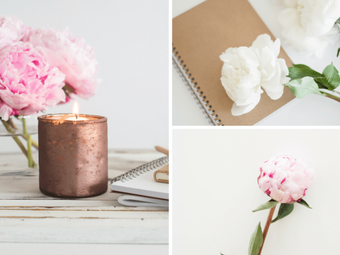 The Bloom 鮮花園藝logo設(shè)計(jì)品牌視覺形象設(shè)計(jì)-上海品牌設(shè)計(jì)公司