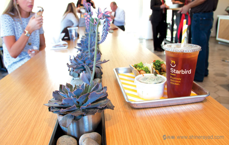 Starbird 炸雞快餐餐廳餐飲VI設計空間設計-上海VI設計公司
