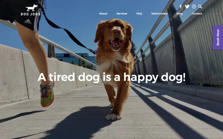 2018年激動人心的平面設計趨勢-高質量攝影