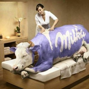 19個在廣告活動中享譽世界的最佳吉祥物-米爾卡——為什么米爾卡巧克力是如此溫柔