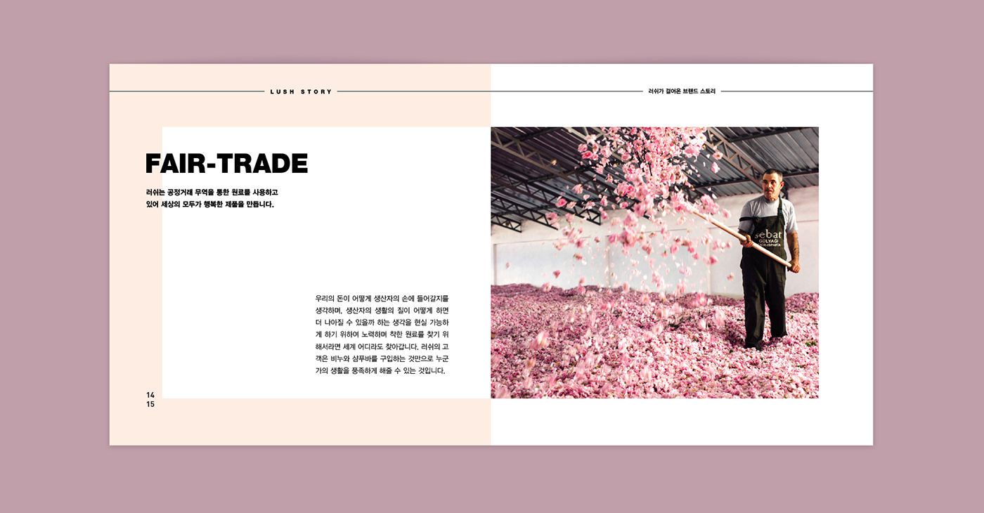 “方形”元素LUSH 糕點罐頭美食學校畫冊設計－上海畫冊設計公司