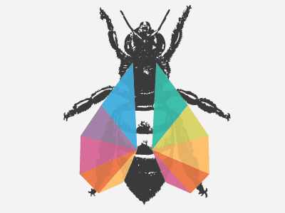 五顏六色翅膀的蜜蜂logo設計