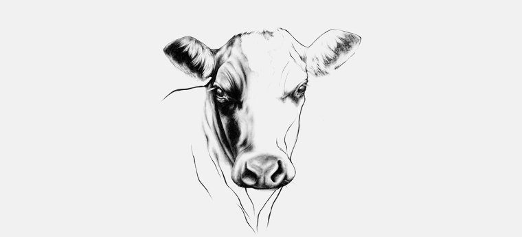 鉛筆動(dòng)物頭像插畫R?ROSKJ?TT鮮肉肉類品牌形象設(shè)計(jì)包裝設(shè)計(jì)