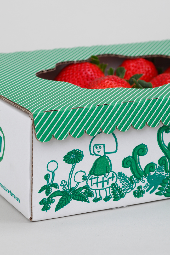 流浪者農場草莓包裝設計手繪插畫設計-上海農產品包裝設計公司
