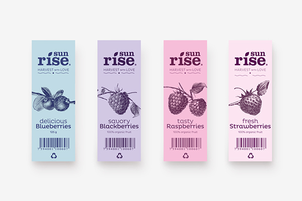 Sunrise有機草莓藍莓水果漿果農產品包裝設計-上海包裝設計公司