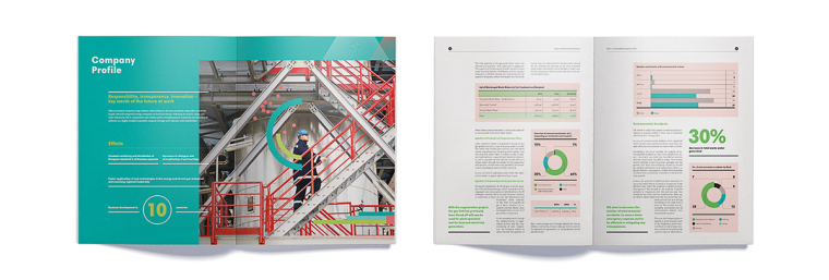 NIS企業(yè)年度報告畫冊設(shè)計-完美的信息圖表設(shè)計與配色設(shè)計-上海畫冊設(shè)計公司