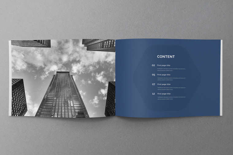 商務風格品牌藍色公司簡介手冊設計上海畫冊設計公司