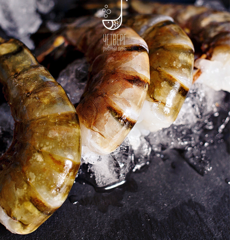 Chetverg - 魚日餐廳魚logo設計-上海餐飲品牌VI設計公司