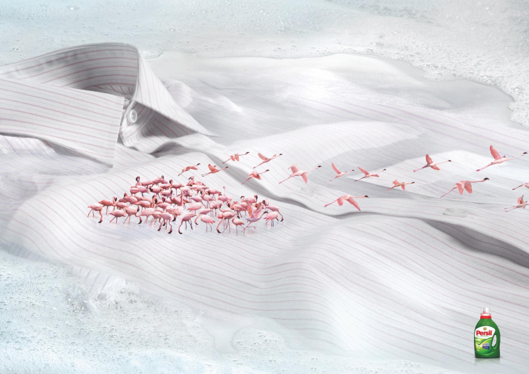 碧浪洗衣粉動物遷徙篇平面廣告創意設計-上海品牌策劃設計廣告策劃設計公司