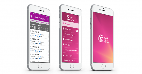 Royal Flora Holland 鮮花花卉種植合作社品牌VI設計-上海VI設計公司