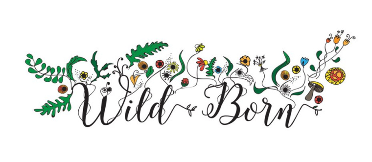 豐富多彩（異想天開）logo--健康logo設(shè)計趨勢-上海logo設(shè)計公司