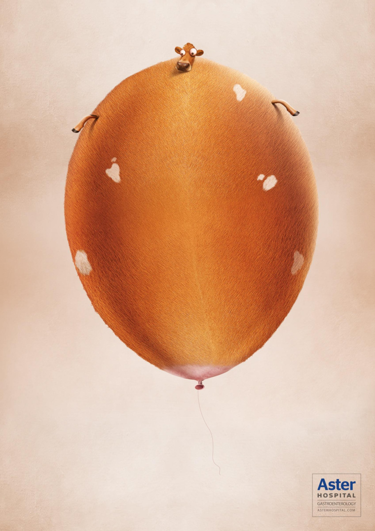 艾斯特醫院治療胃脹胃病平面廣告創意設計-膨脹的母牛-上海醫療平面廣告策劃設計公司