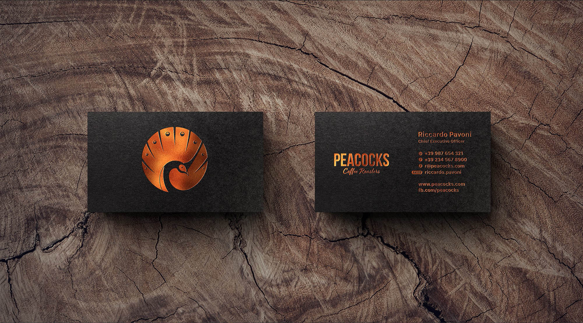 意大利孔雀咖啡烘焙品牌極簡(jiǎn)主義平面幾何孔雀LOGO設(shè)計(jì)-上海品牌logo設(shè)計(jì)公司