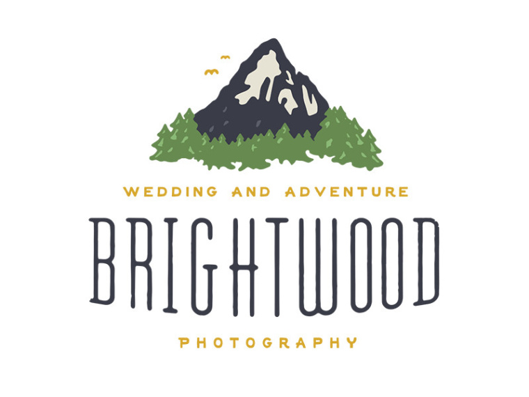 35個創意大山logo設計靈感的集合-尚略logo設計公司